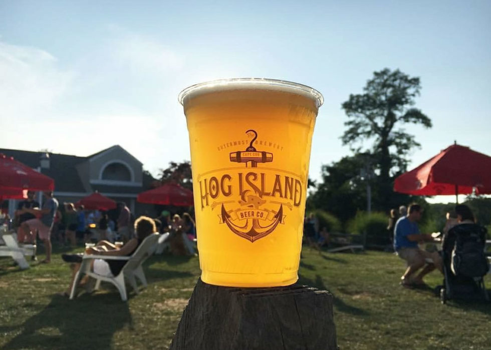 Our Beer Hog Island Beer