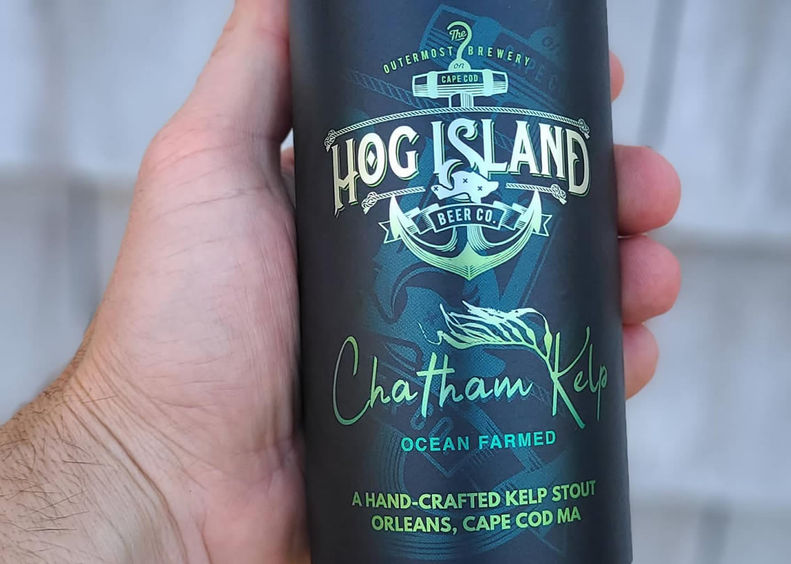 chatham-kelp-hog-island