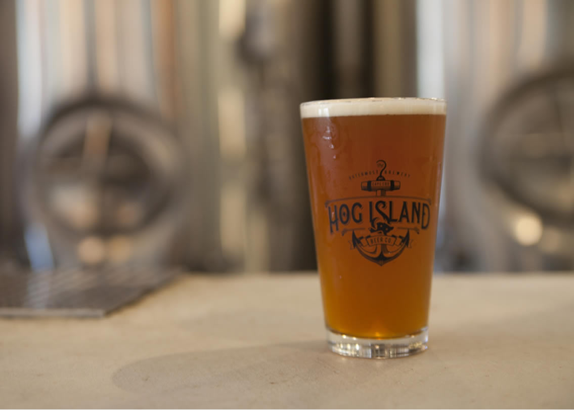 pale-ale-hog-island-beer