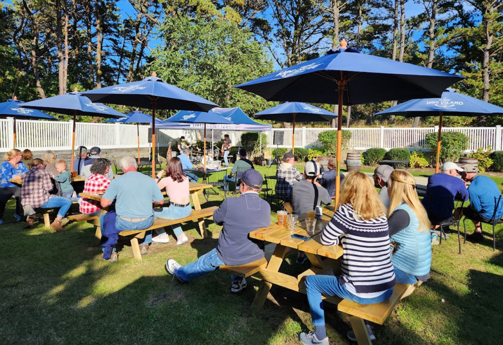 Wellfleet Hog Island Beer